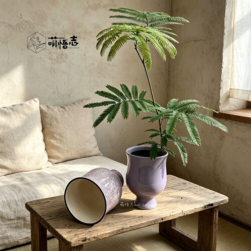 萌悟志轻奢陶瓷兰花专用花盆
