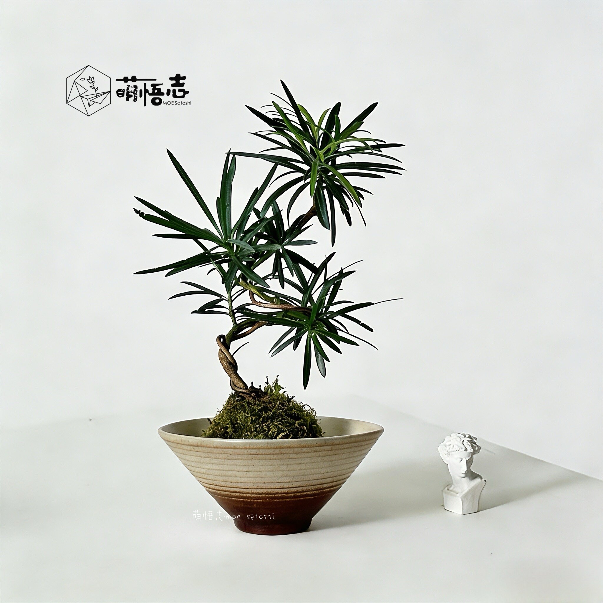 禅意无孔碗莲荷花水培铜钱草水仙苔藓球陶瓷花盆专用容器清仓包邮