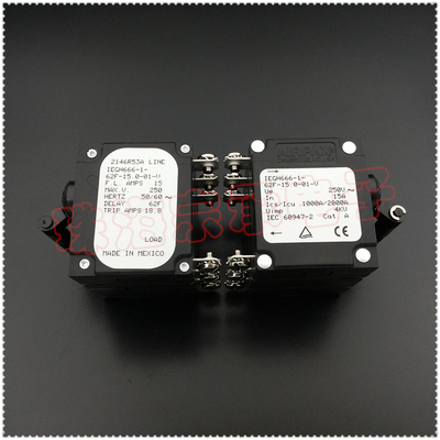 IEGH666-1-62F-15.0-01-V断路器