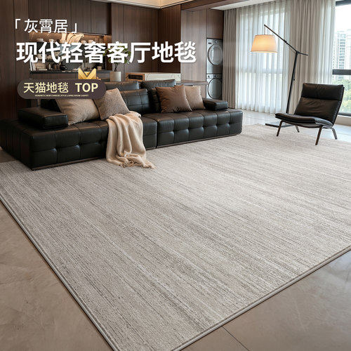 地毯客厅意式极简轻奢高级感免洗