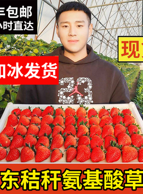 丹东99大红颜草莓3斤孕妇牛奶草梅礼盒新鲜当季水果草莓整箱包邮
