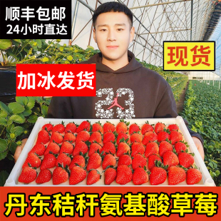 丹东99大红颜草莓3斤孕妇牛奶草梅礼盒新鲜当季水果草莓整箱包邮