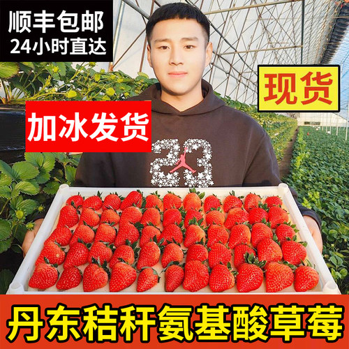 丹东99草莓不甜包退顺丰送货上门