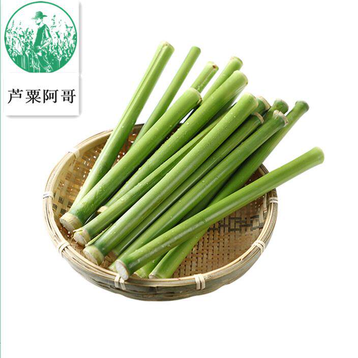 崇明特产新鲜甜芦粟甜杆甜芦稷甜高粱杆水果