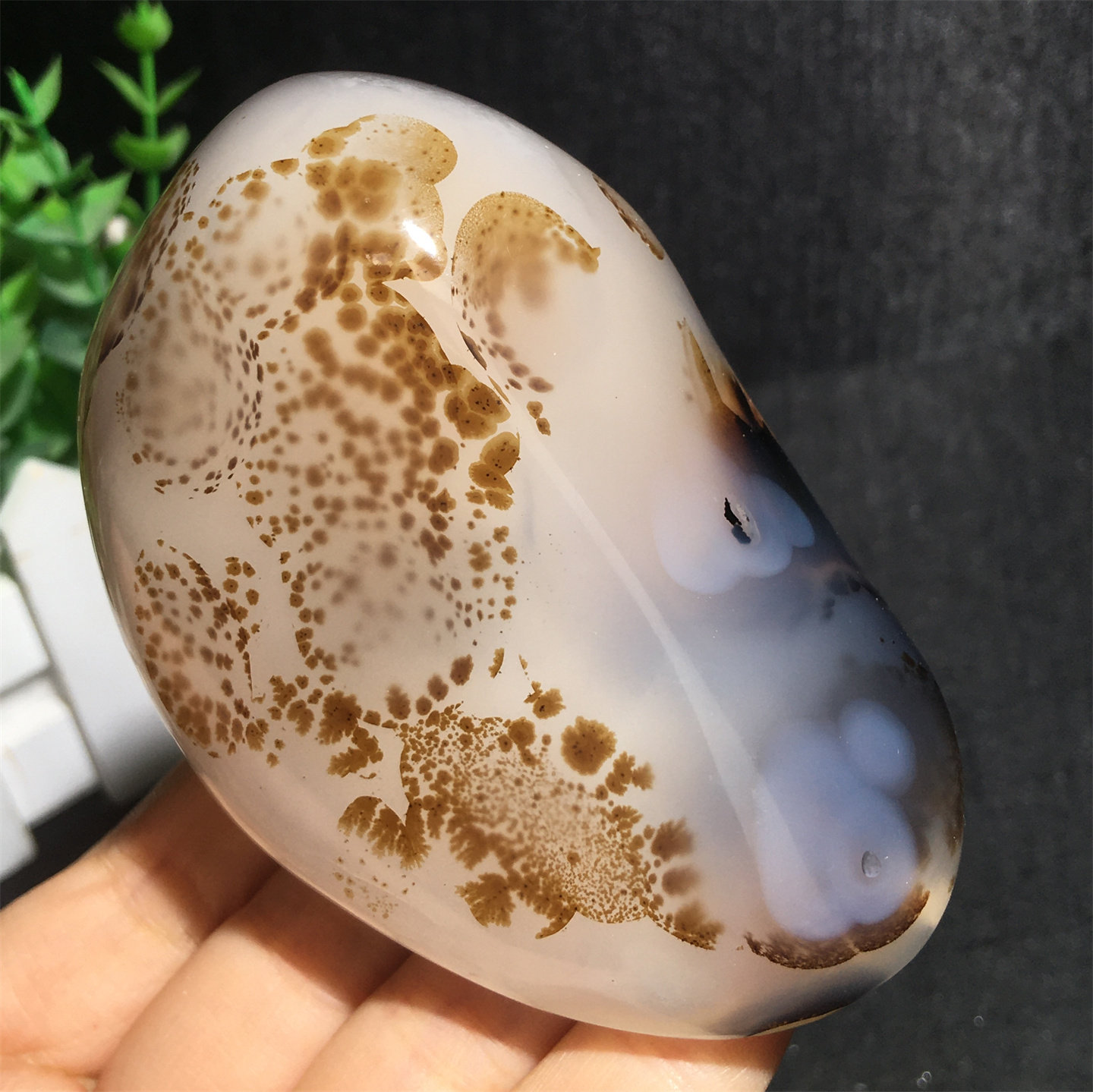 天然马达加斯加海洋水草玛瑙原石把玩石收藏奇石实物图