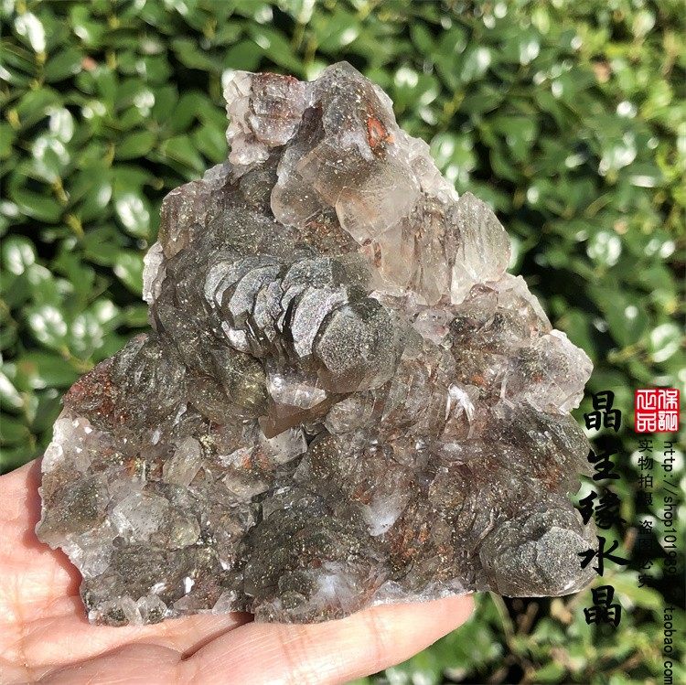 天然特色奔驰方解硫铁矿共生方解石原石晶体层叠状矿物标本可选