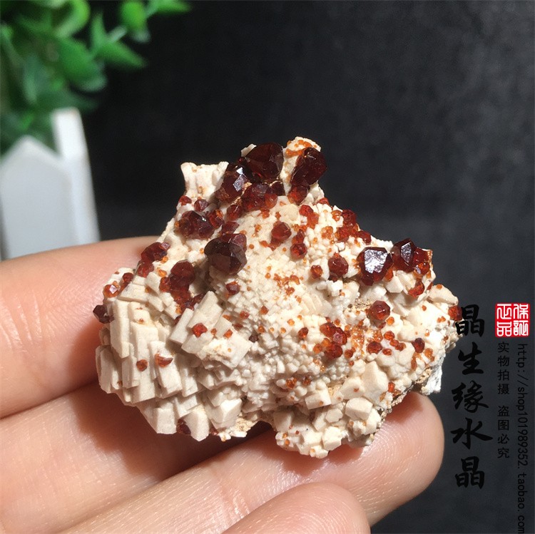 福建天然石榴石矿物晶体标本原矿石收藏观赏实物图多款可选