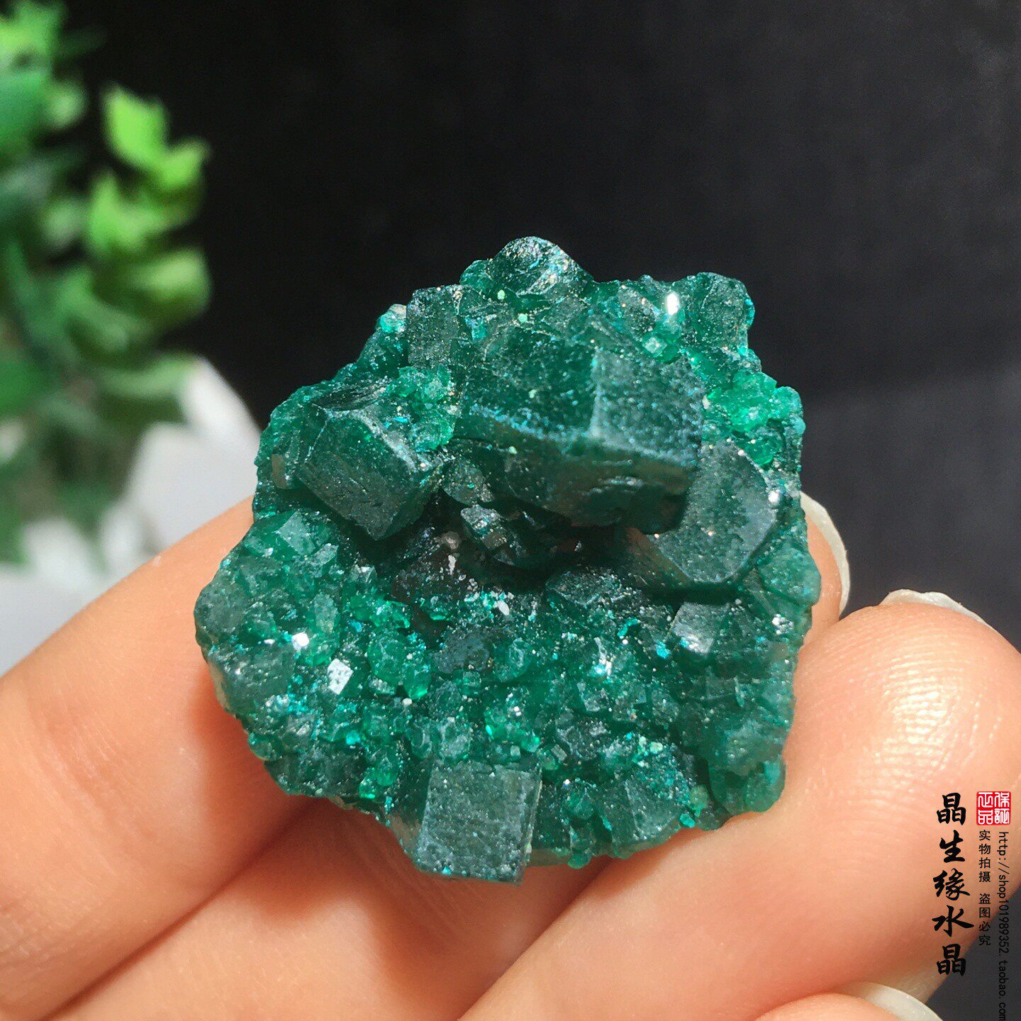 天然刚果翠铜矿小原矿收藏矿石实物图特价