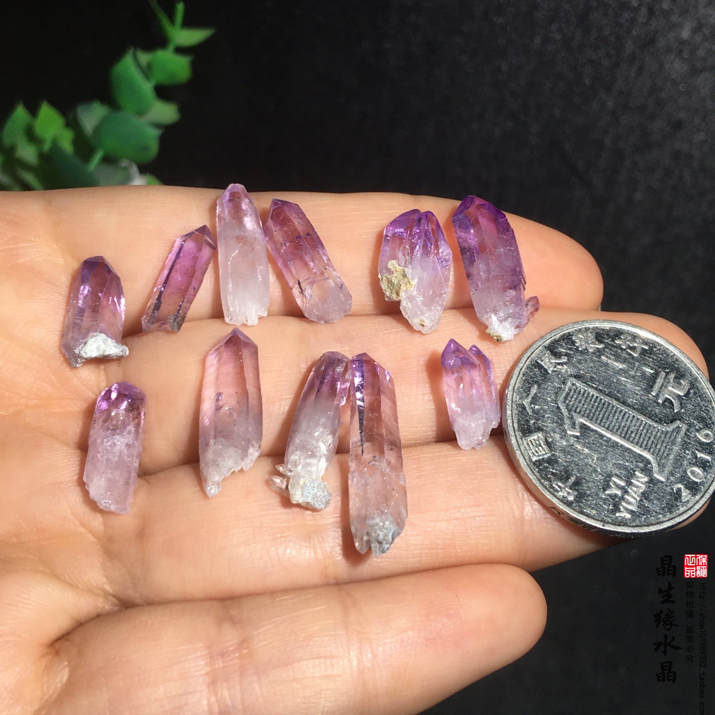 天然莫西哥克鲁兹紫水晶单间柱小摆件