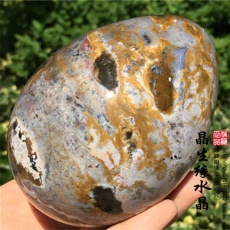 天然海洋碧玉鸡蛋玛瑙原石摆件 实物图送底座