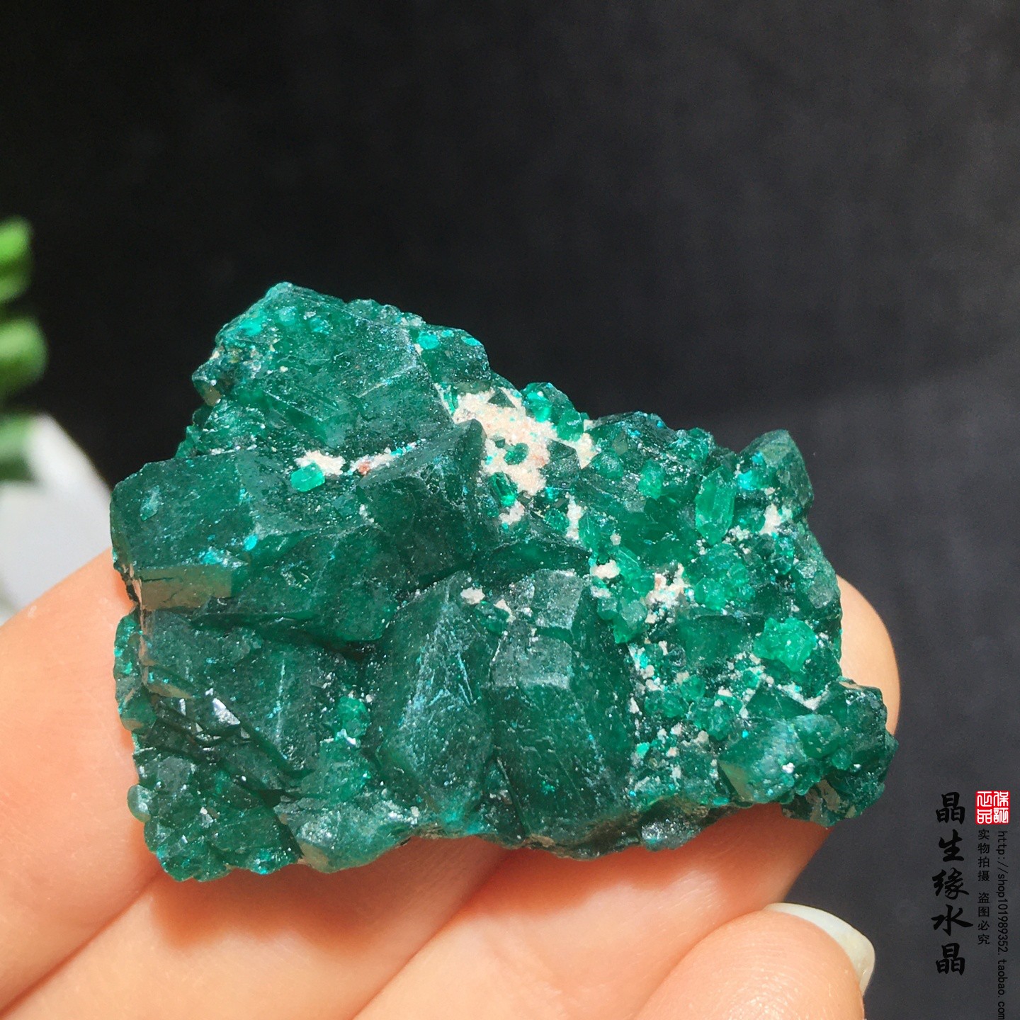 天然刚果翠铜矿小原矿收藏矿石实物图特价