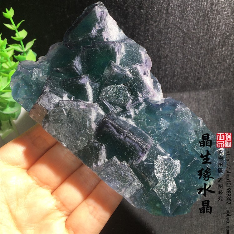 天然河南萤石原石标本收藏矿物晶体教学科普实物图多款可选