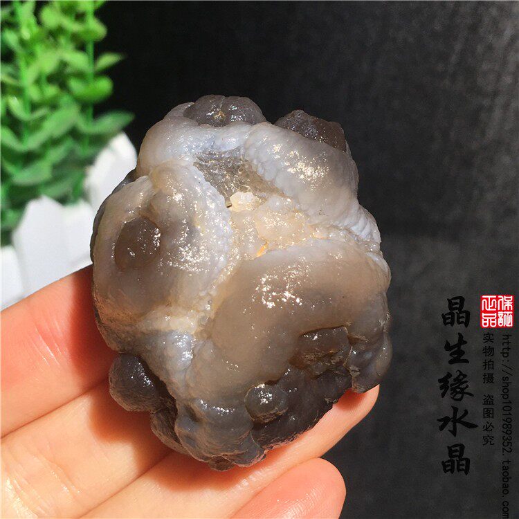 天然熊猫玛瑙原石 戈壁奇石矿物标本 一物一图可选