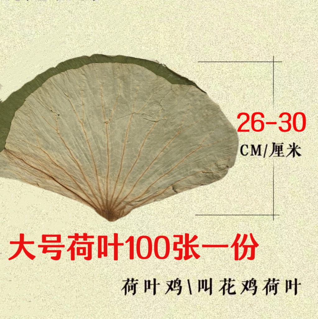 大号整张荷叶微山湖干荷叶包叫花鸡叫化鸡荷叶鸡荷叶饭100张大张