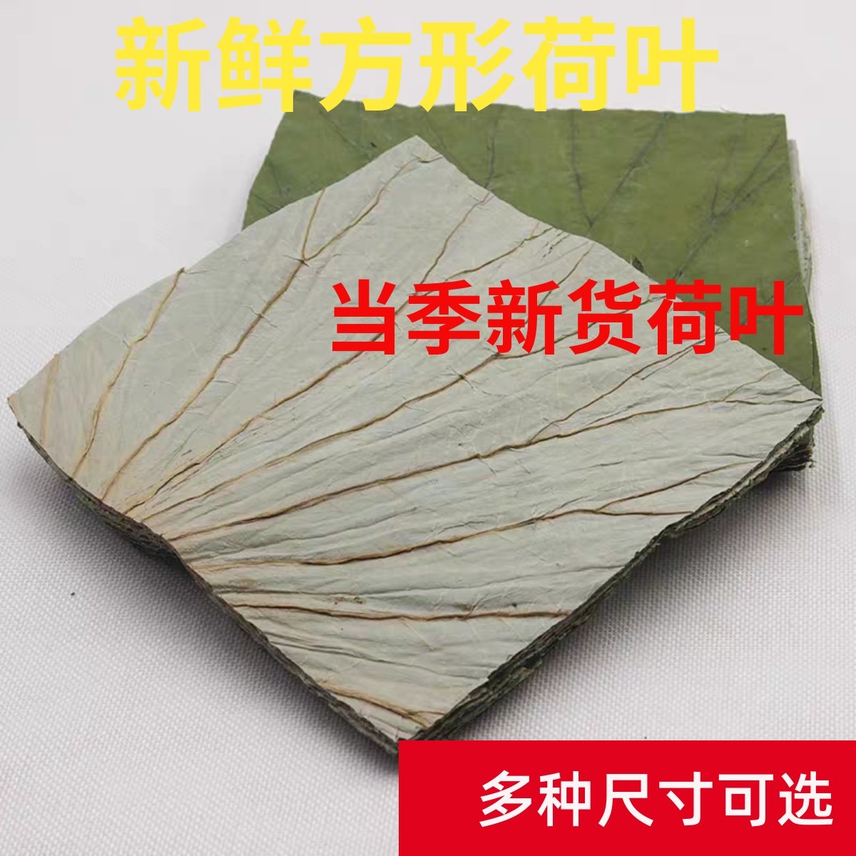 新鲜荷叶方形片50张糯米鸡用荷叶饭家用包粽子荷叶家用糯米鸡荷叶,传统滋补营养品,荷叶,淘宝优惠券,粉丝福利购,淘宝优惠卷