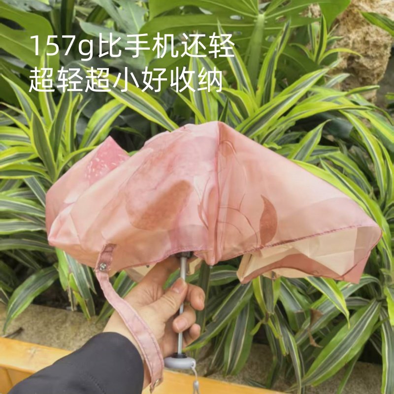 雨伞长柄订制礼品小清新图片