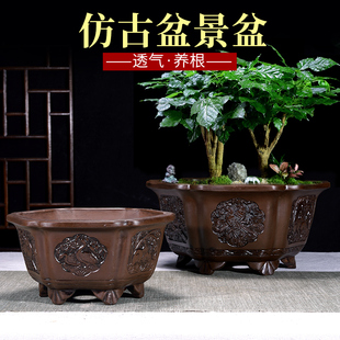 宜兴紫砂花盆六角陶瓷仿古紫砂室内大口径兰花室内花卉盆栽盆景盆