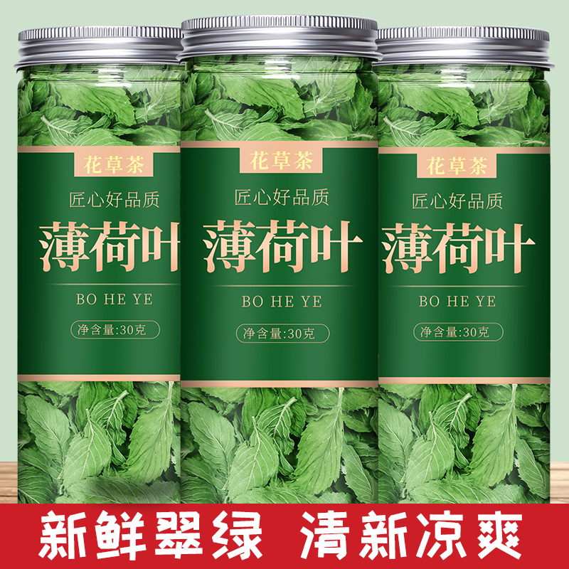 薄荷茶新鲜食用夏天泡水喝的东西