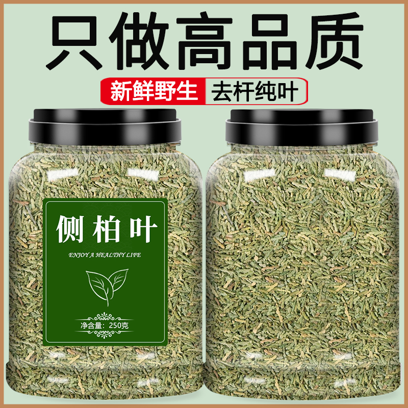 侧柏叶中药饮片罐装500g洗头洗发