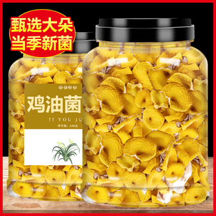 云南土特产鸡油菌新鲜野生黄金菇干货黄丝菌子榆黄菇香菇煲汤菇类