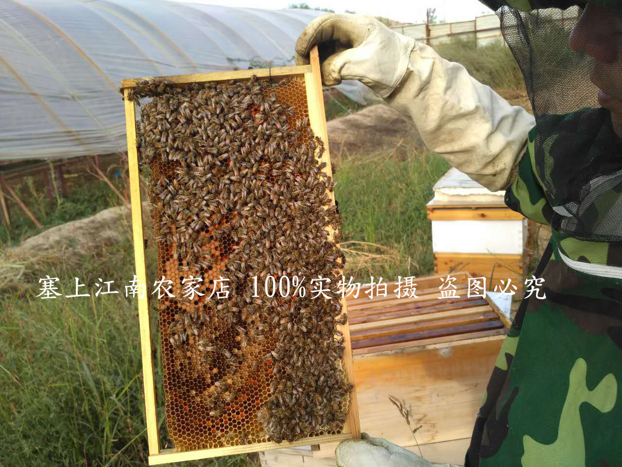 纯蜂蜜农家自产纯天然野生土蜂蜜原蜜百花蜜野山花蜜包邮