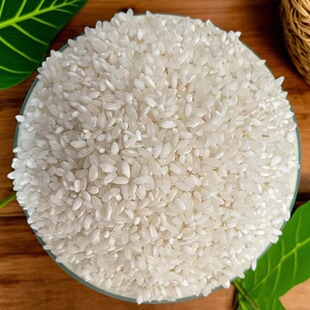 新鲜安徽早稻米早籼米肠粉米皮发糕豆腐炒饭不粘不糯圆粒谷米20斤