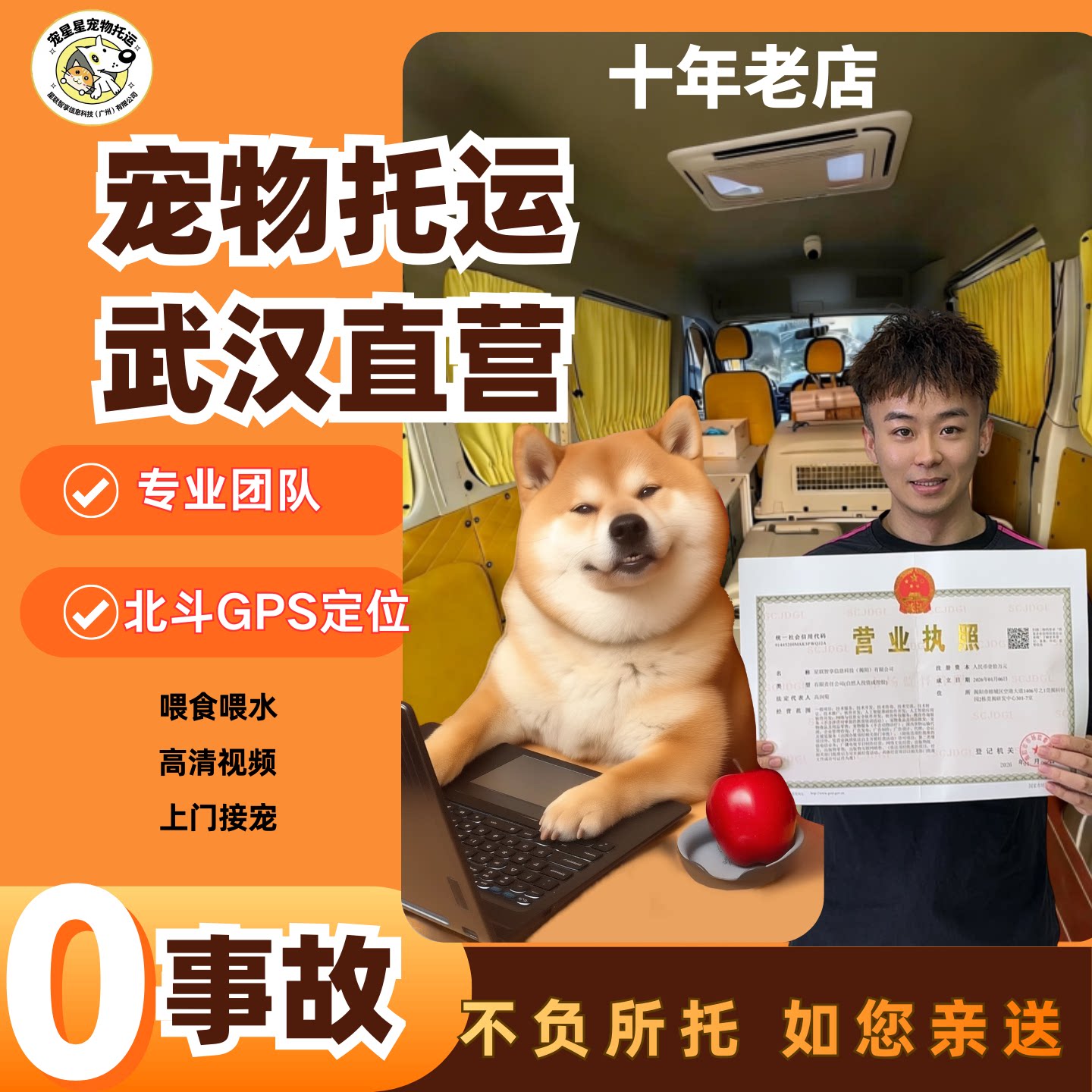 广州宠物托运服务全国猫咪狗狗空宠物托运