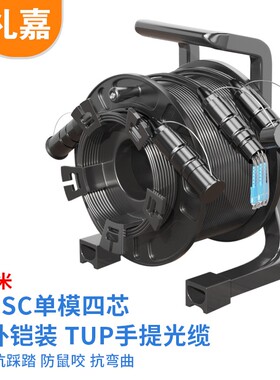 礼嘉（LIJIA）室外野战光缆 SC-SC 单模4芯300米双端LJ-STSC-4-30