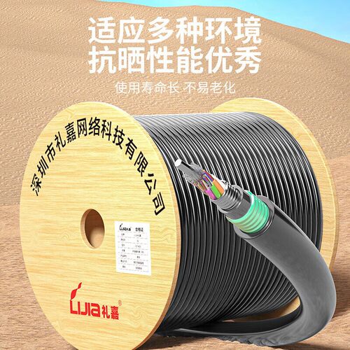 礼嘉（LIJIA）铠装GYTA53层绞式室外光缆3000米 LJ-GY53-288-3000