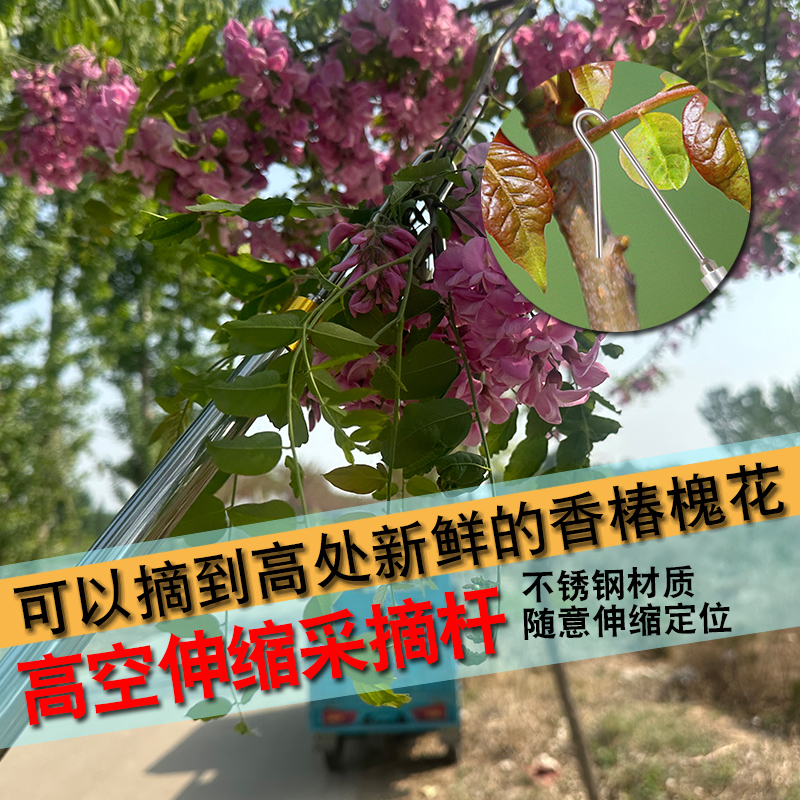 摘香椿槐花伸缩杆钩子锯齿刀