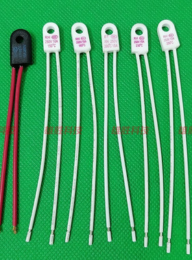 温度保险丝管热熔断体250V10A