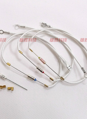 婴儿奶瓶消毒柜煮蛋器煲炒炉电热毯油汀温度保险丝过热保护管250V