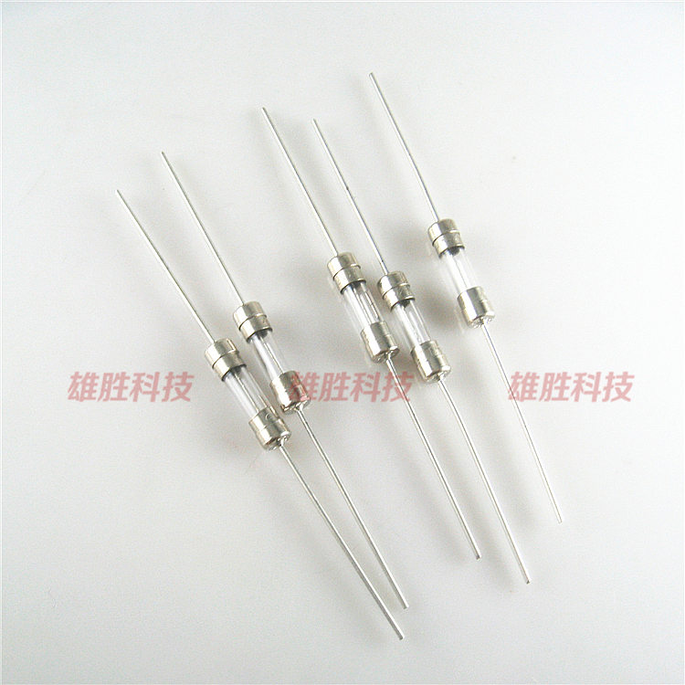 〖全新原装〗慢断玻璃保险管 T20AL250V 5X20MM 20A 保险丝带引脚