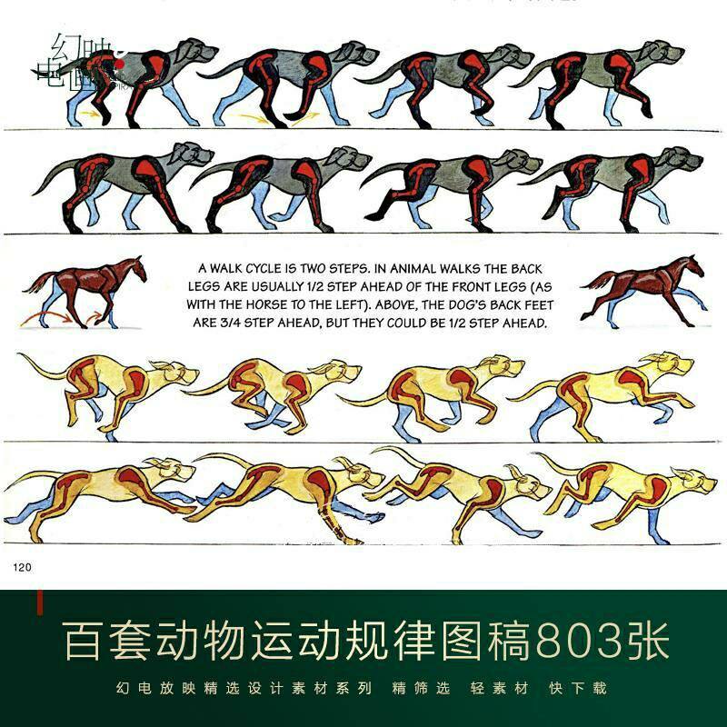 c68 百套动物运动规律原画设计动漫游戏绘画参考设定图集线稿临摹