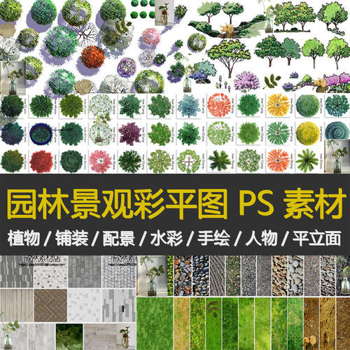 PZ03园林景观彩平图PSD素材植物手绘辅装PS后期立面平面图效果图