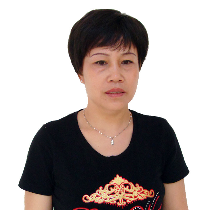 实拍女式头发中老年人假发套真人发妈妈化疗短直发包邮女士假发