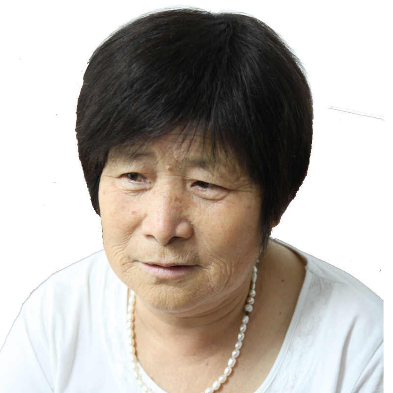 包邮手织花白斜刘海奶奶整顶假发