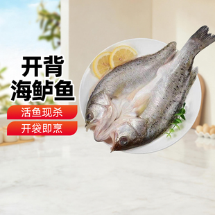 新疆乐乐妈聚仙客开背海鲈鱼600g±50g新鲜冷冻鲜活深海水产海鲜
