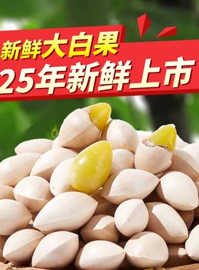 2025年新鲜大颗带壳白果银杏果无漂白泰兴特级包邮干货生百果银杏