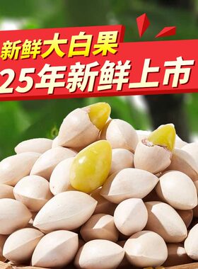 2025新鲜大颗银杏果白果带壳