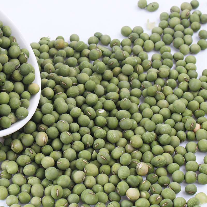 青豆500g农家生大生青豆 非转基因新豆子 五谷杂粮粗粮 满5件包邮