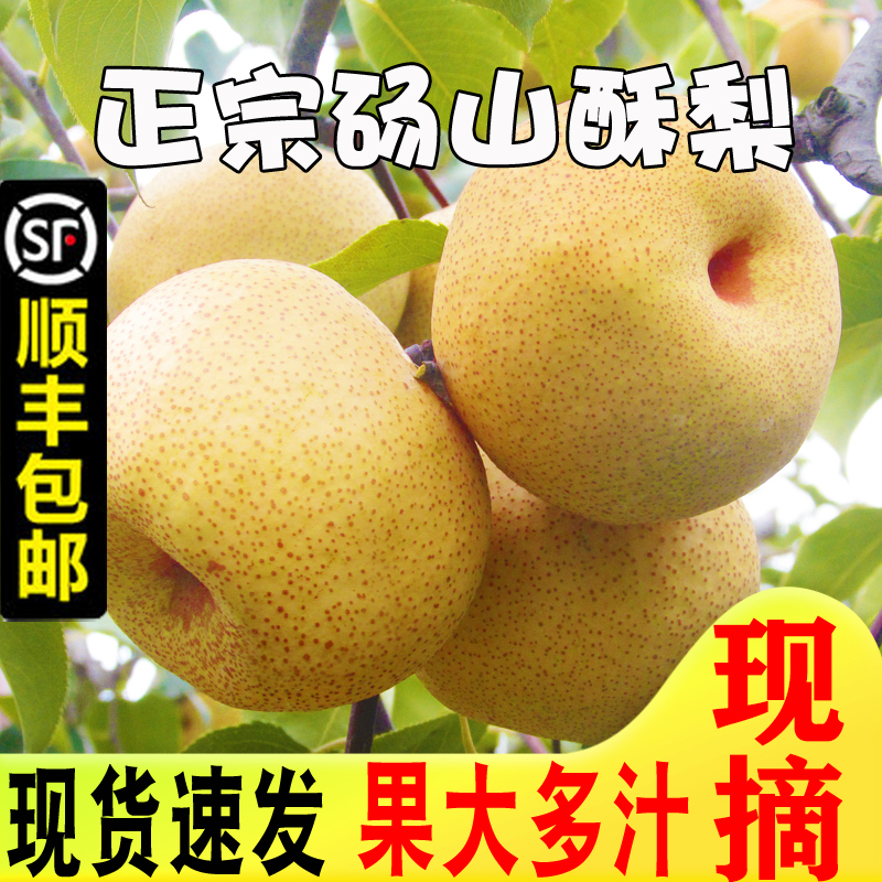 新鲜安徽现摘脆甜整箱包邮梨子