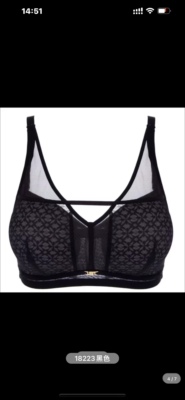 美背莎莲妮上托透气内衣两件包邮