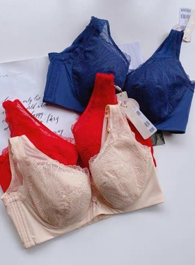 依曼丽大胸显小 聚拢防下垂调整型胸罩YB20604无钢圈19815 19603