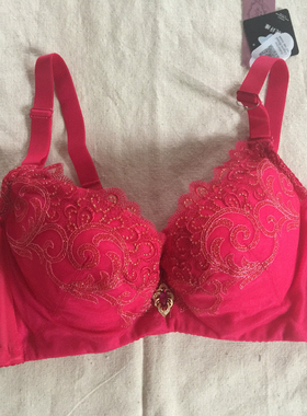 两件包邮专柜正品莎莲妮侧收副乳防下垂功能型文胸SK5104bc 5105A