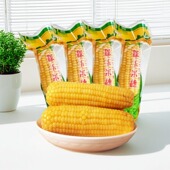 山西忻州特产黄玉米糯玉米黄糯真空180克 10根黄糯玉米真空粗粮