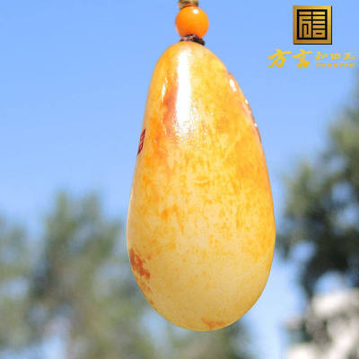 方言聚金鹿红活高脂老熟