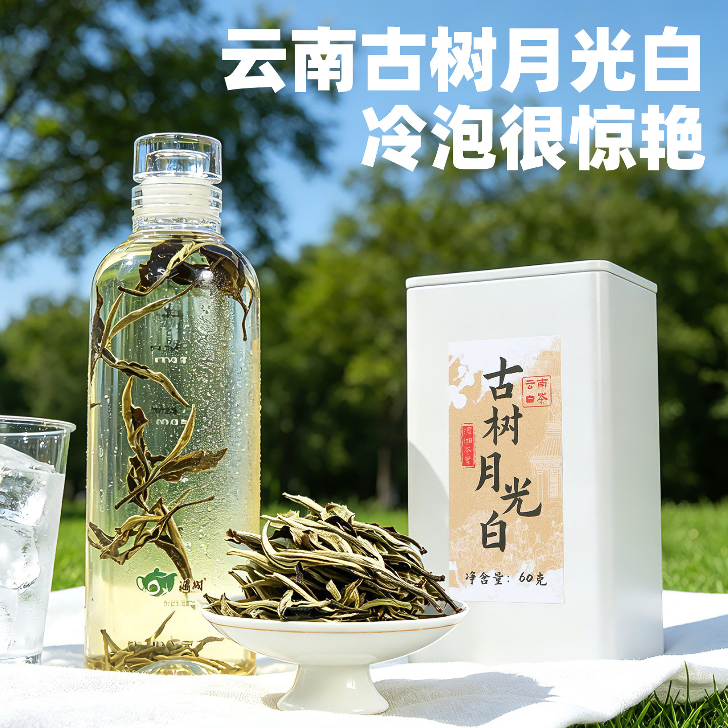 冷泡茶古树月光白散茶花香冰糖韵图片