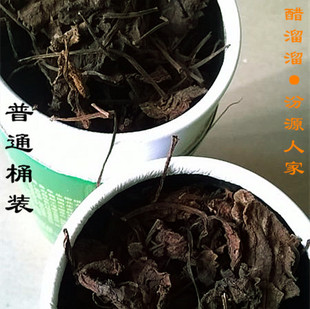 山西药茶礼盒装芦芽山野生毛尖茶宁武毛尖包邮【4个茶叶桶】