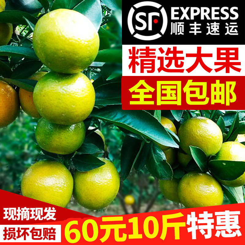 精选大果 正宗德庆皇帝柑 贡柑橙橘子新鲜水果甜桔子10斤送礼佳,水产肉类/新鲜蔬果/熟食,桔子,淘宝优惠券,粉丝福利购,淘宝优惠卷